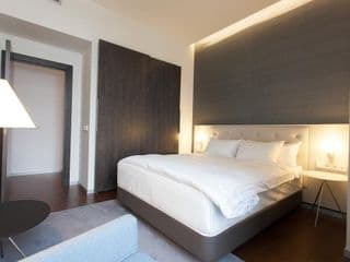 Hotel Cismigiu