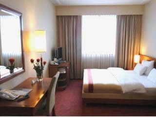 Hotel International
