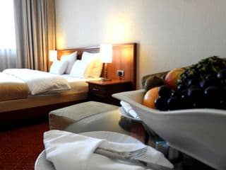 Hotel International