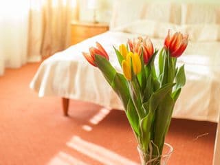 AirInn Vilnius Hotel