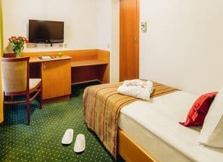 Central Hotel Superior