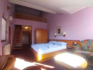 Hotel Delminium