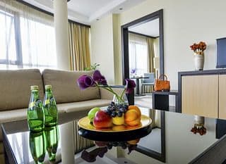 Central Park Hotel