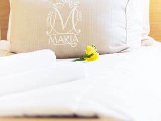 Domus Maria